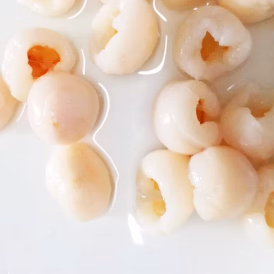 Nouveau Sac à dos jardin agriculteur agricole main culture manuelle 2 en 1 sac à dos batterie pulvérisateur électrique (HT