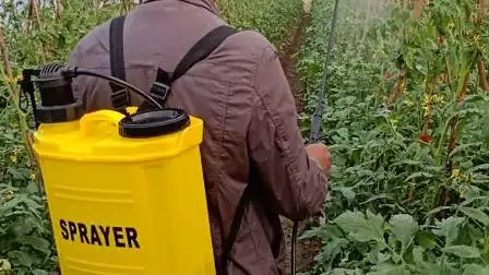 Désinfection agrochimique stérilisation sac à dos agricole ferme jardin batterie sac à dos électrique pulvérisateur manuel à main (HT