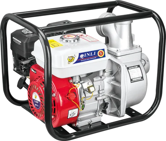 Pulvérisateur portatif 22/30bar avec moteur à essence, type civière pour l'irrigation agricole